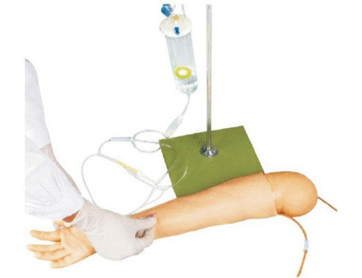高級兒童手臂靜脈穿刺模型KAS-S4