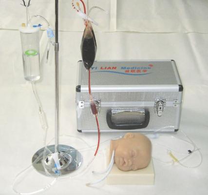 高級硅膠嬰兒頭部雙側靜脈注射穿刺訓練模型KAS-T1