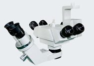 XT-X-4B型手術顯微鏡